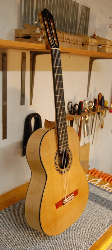 DSC 4206