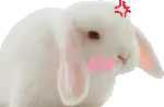 droopy-daisy on Tumblr droopy-daisy on Tumblr