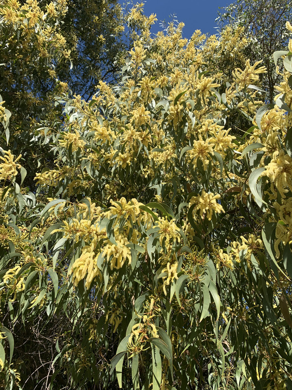 5A75D687-38DE-473F-9ECA-C9F69B796A1F