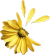 240725-curseur-fleur-jaune-petit