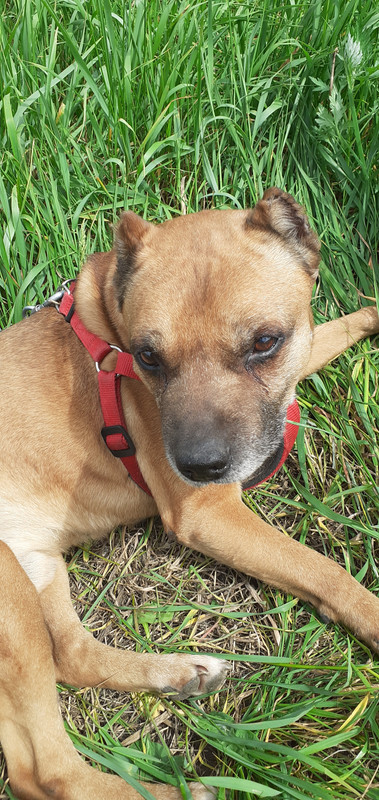 20230530_120432(0)[1]