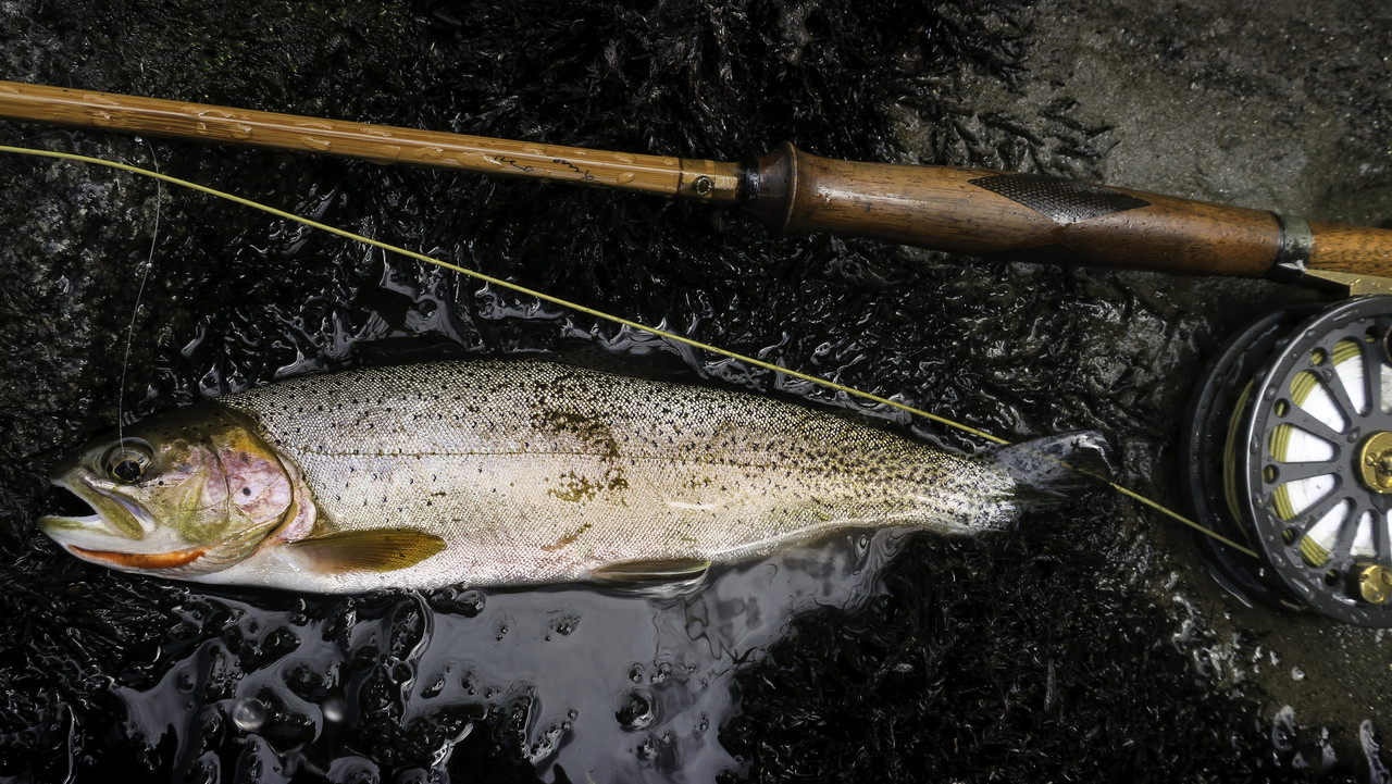 E Fork Cutt & Heddon #60