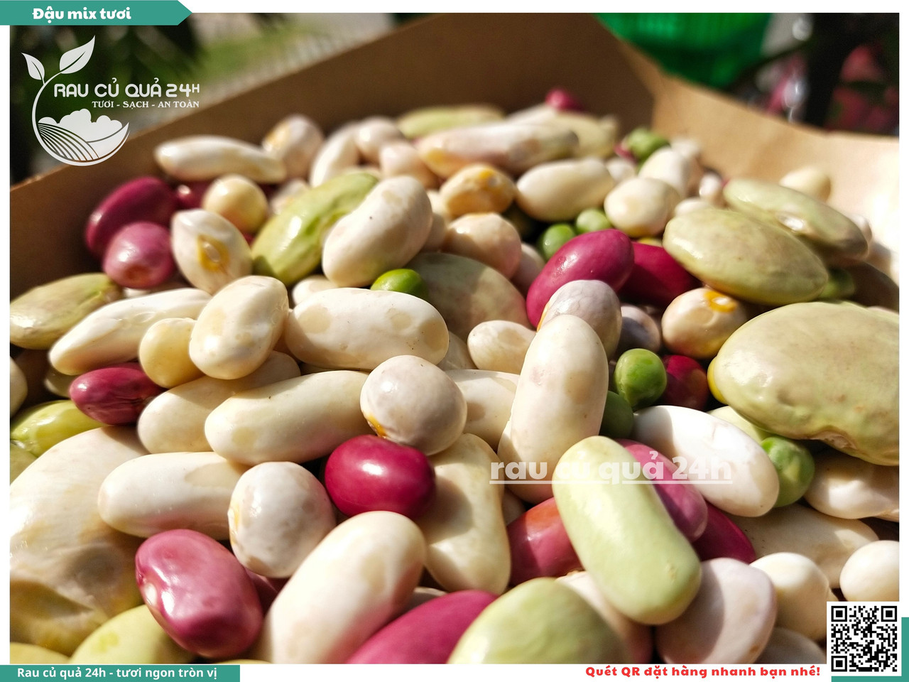 Đậu Mix Tươi 18