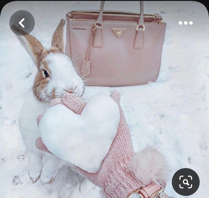 Screenshot_20230531_215047_Pinterest