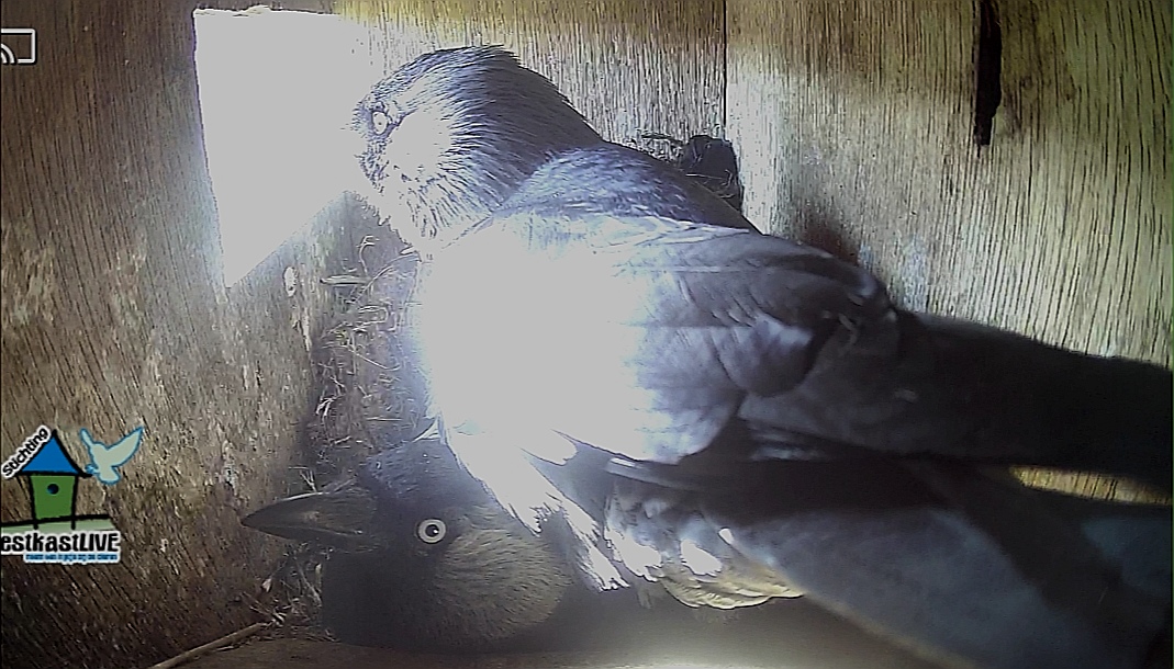 Screenshot 20260407 085957