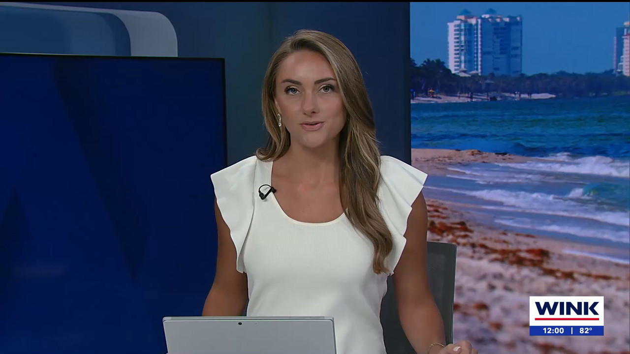 04.17 - 17.00.01 - The WINK Noon News  ᴺᵉʷ. Midday news update..ts_snapshot_06.32.079