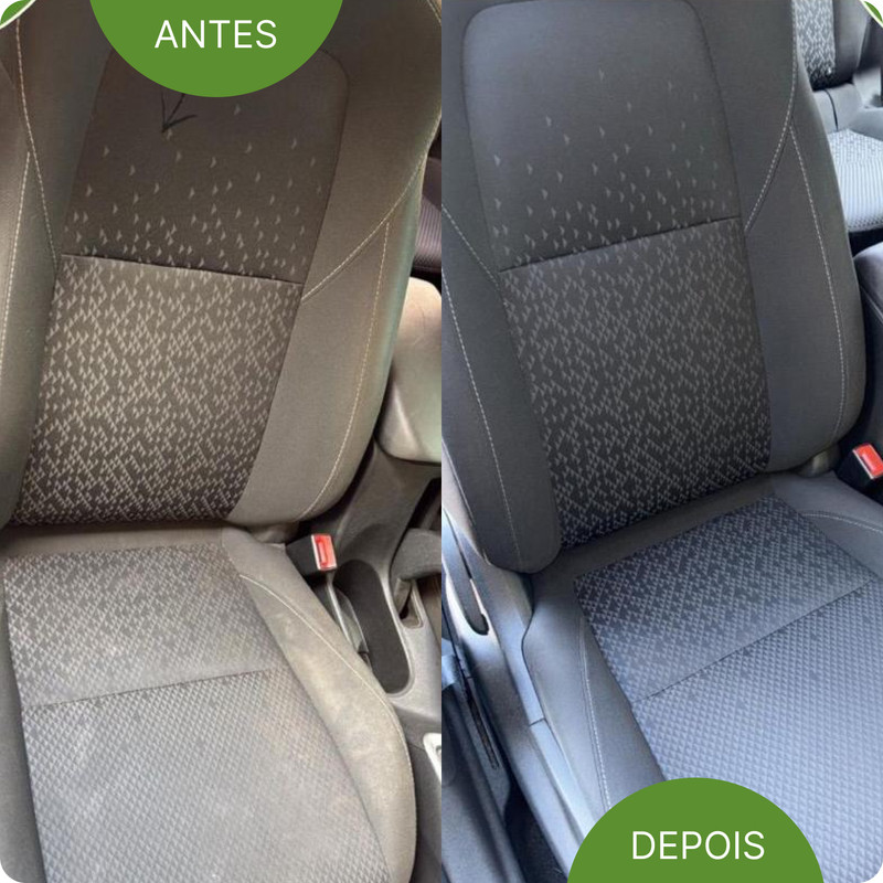 Higienização de Sofá Familar