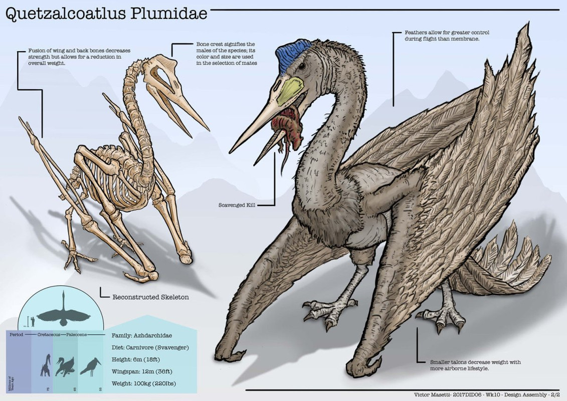 1670480262_19-kartinkin-net-p-sobaka-kettsalkoatl-vkontakte-20