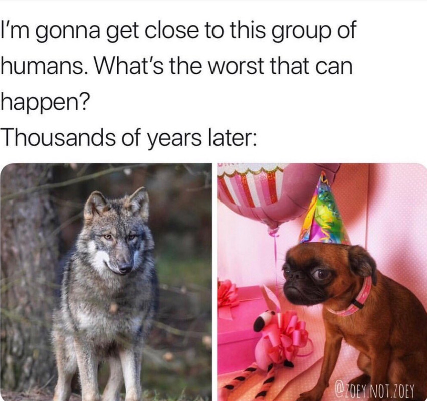 04E5C062-D253-486B-8E65-ABF8AA835989