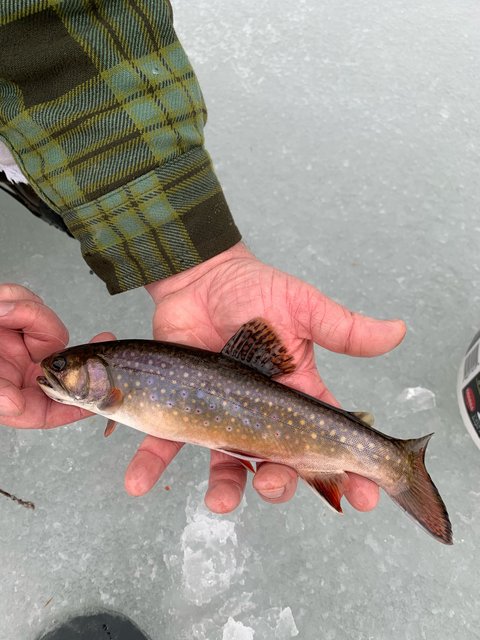 65EC567E-AB42-4155-A5A6-0996DA7EB2BD