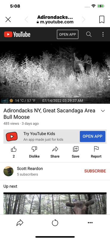 2013D0AB-D989-444E-921C-77A4AF663CC4