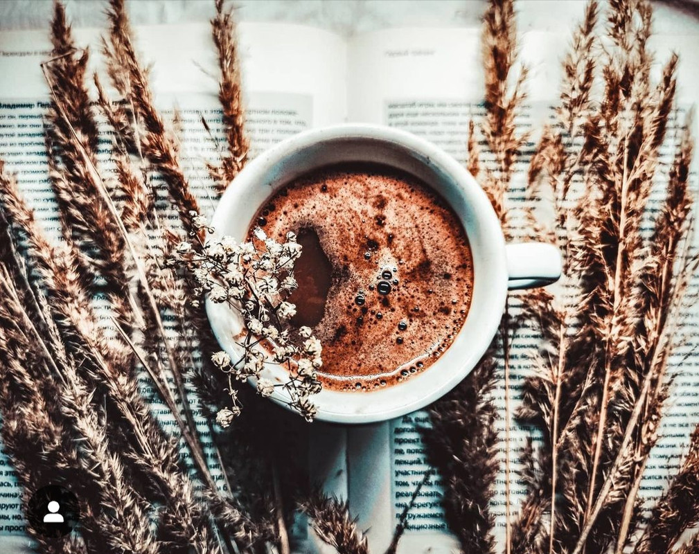 Screenshot_20231204_000328_Instagram