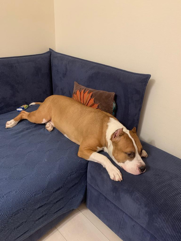 A02F9885-047C-4AE0-89A9-5931E2711314