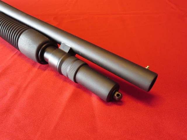 Waff-ank-Clearwater-036