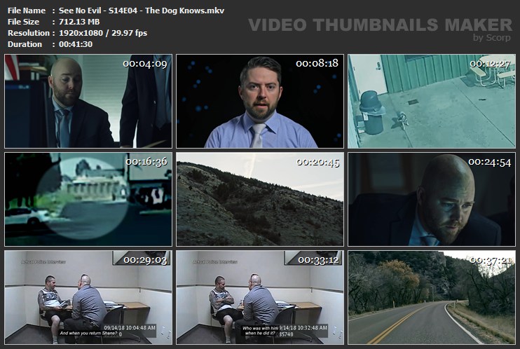 See No Evil S14E04 The Dog Knows mkv