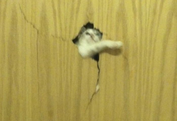 16A8D1C1-5C6A-49B8-BACB-60C43E2C7C37