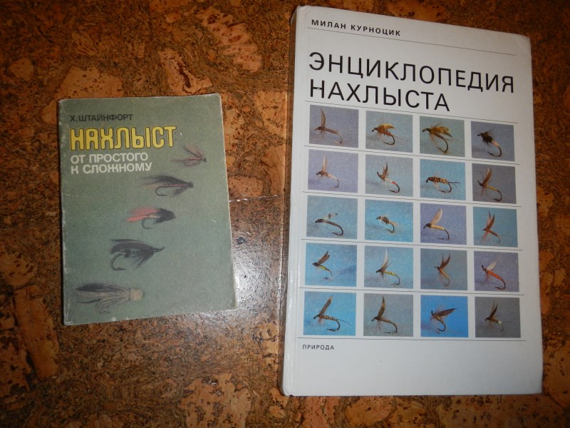 DSCN1958 (800 x 600)