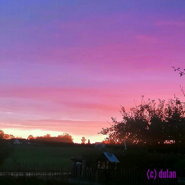 [Image: IMG-20231117-005246.jpg]