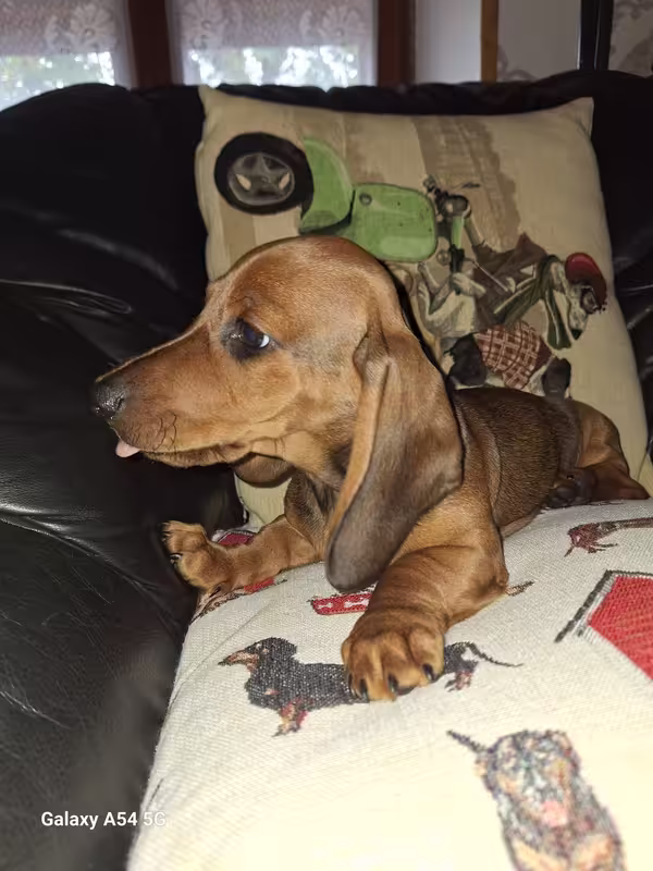 [Image: 20240930-174312.avif]