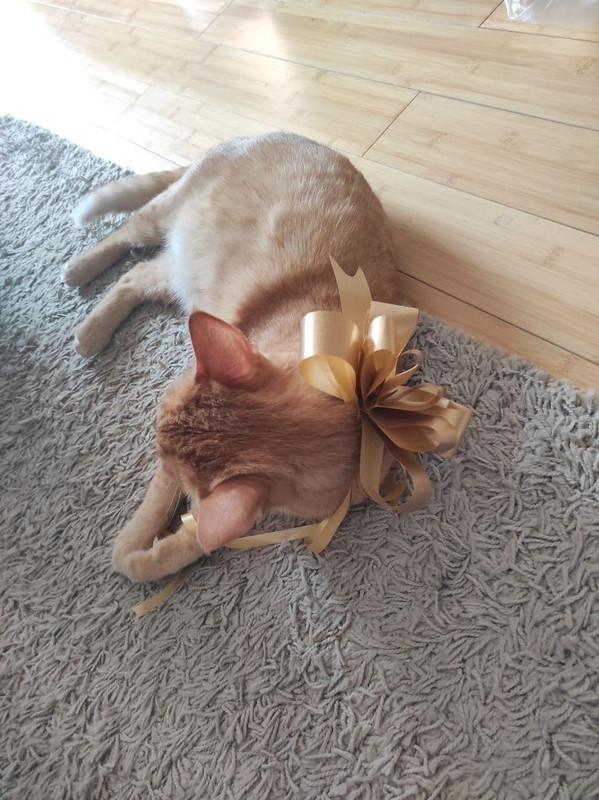 photo_2020-12-17_16-10-50 (2)