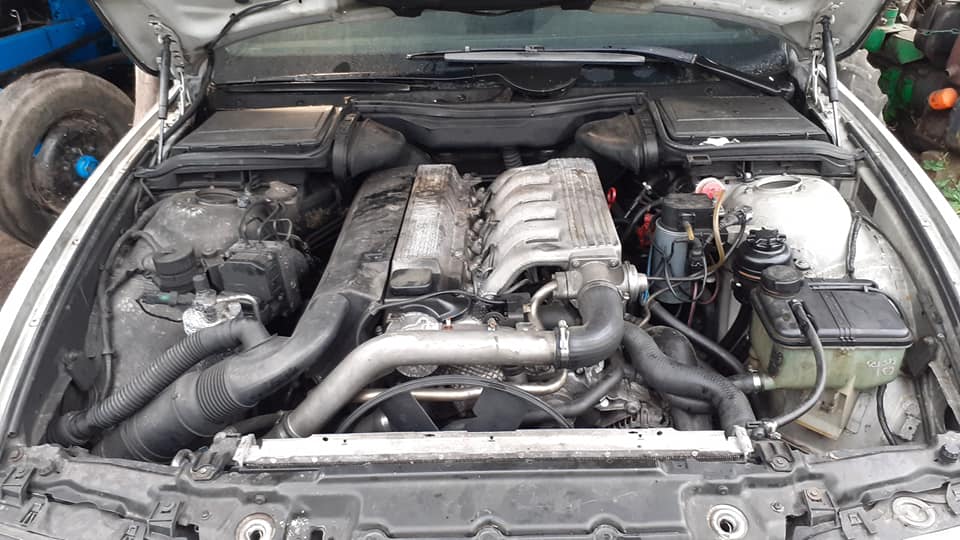 182448093_188170659792827_3816718746839208633_n