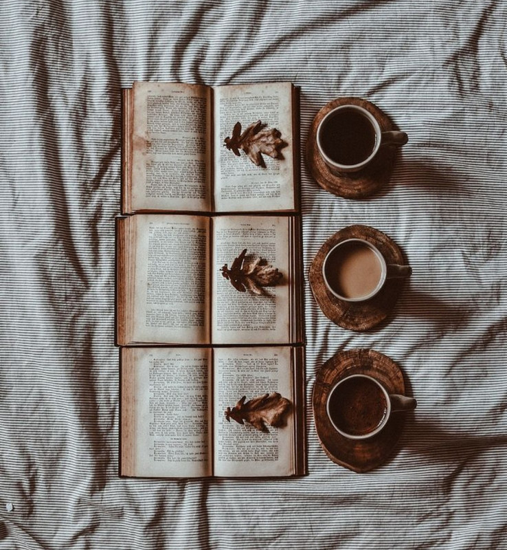 Screenshot_20240608_071234_Pinterest