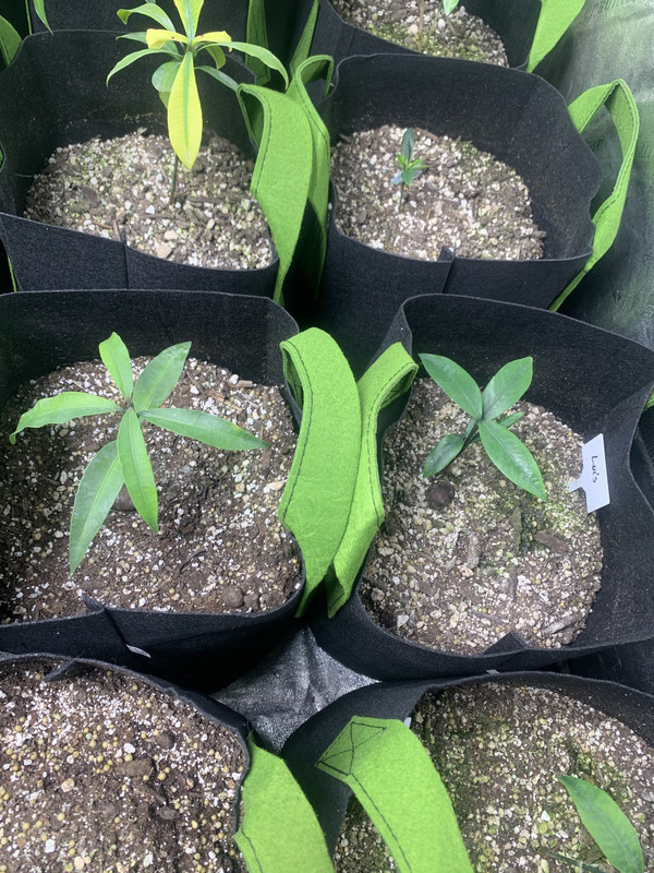 AE39714C-5CE5-4EA6-B9B8-0578666E9D38