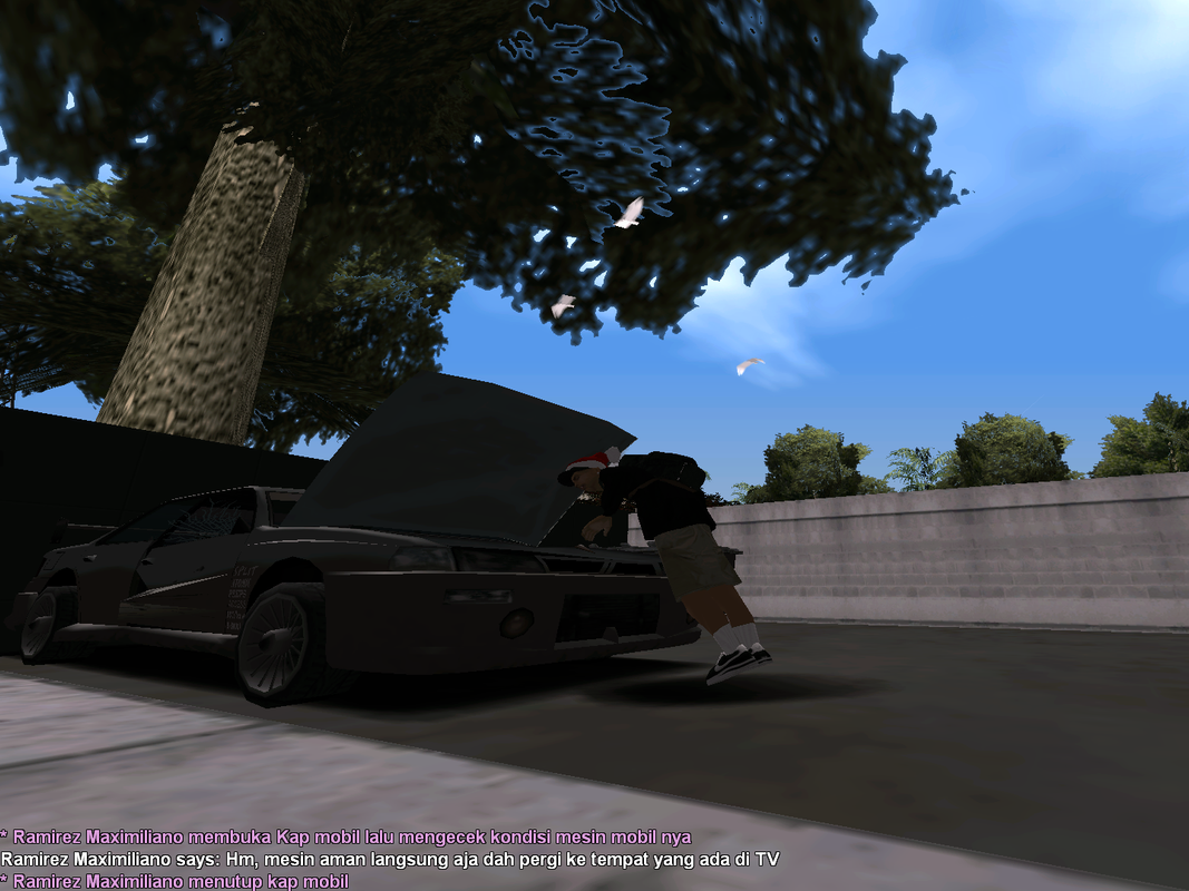 samp-20-12-2022-13-28-54.png