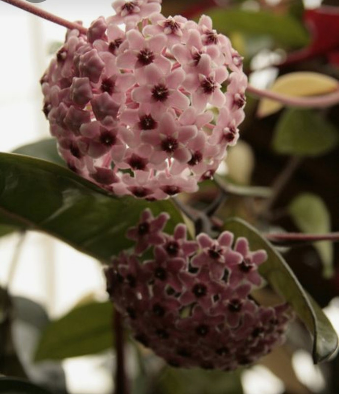 Screenshot_20230712_013512_Pinterest