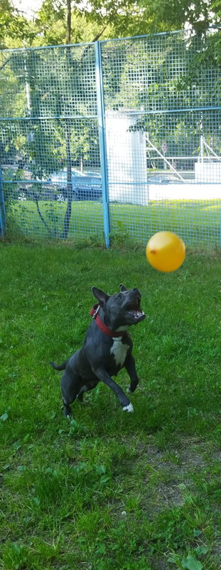 A20A9C9D-5462-4908-93A4-432AC054BE4D