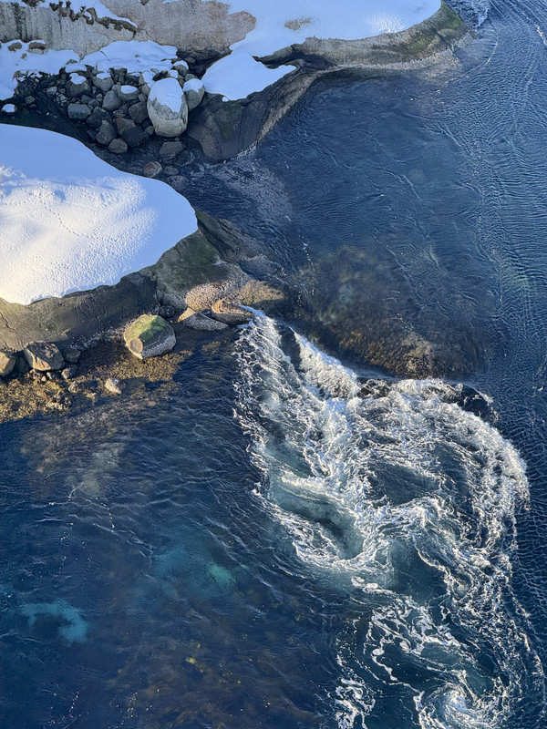 [Immagine: IMG-8975.jpg]