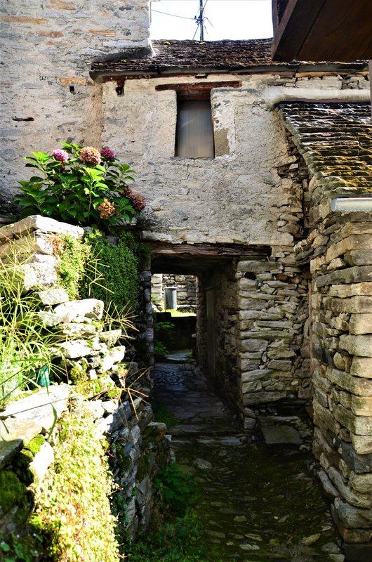 Suiza y sus pueblos-2019 - Blogs de Suiza - CORIPPO-8-9-2019 (29)