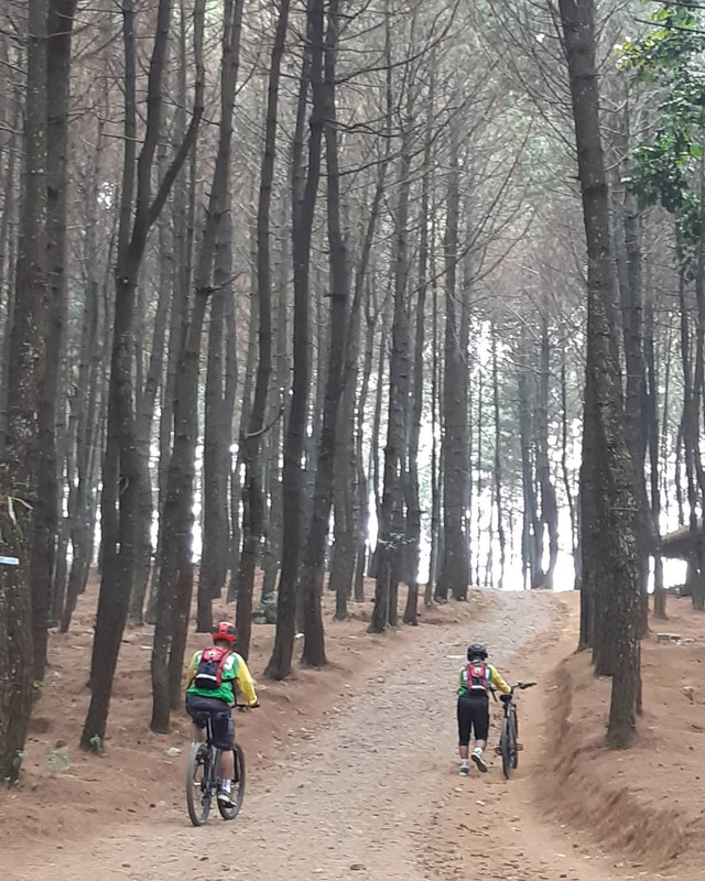Bukit Senyum