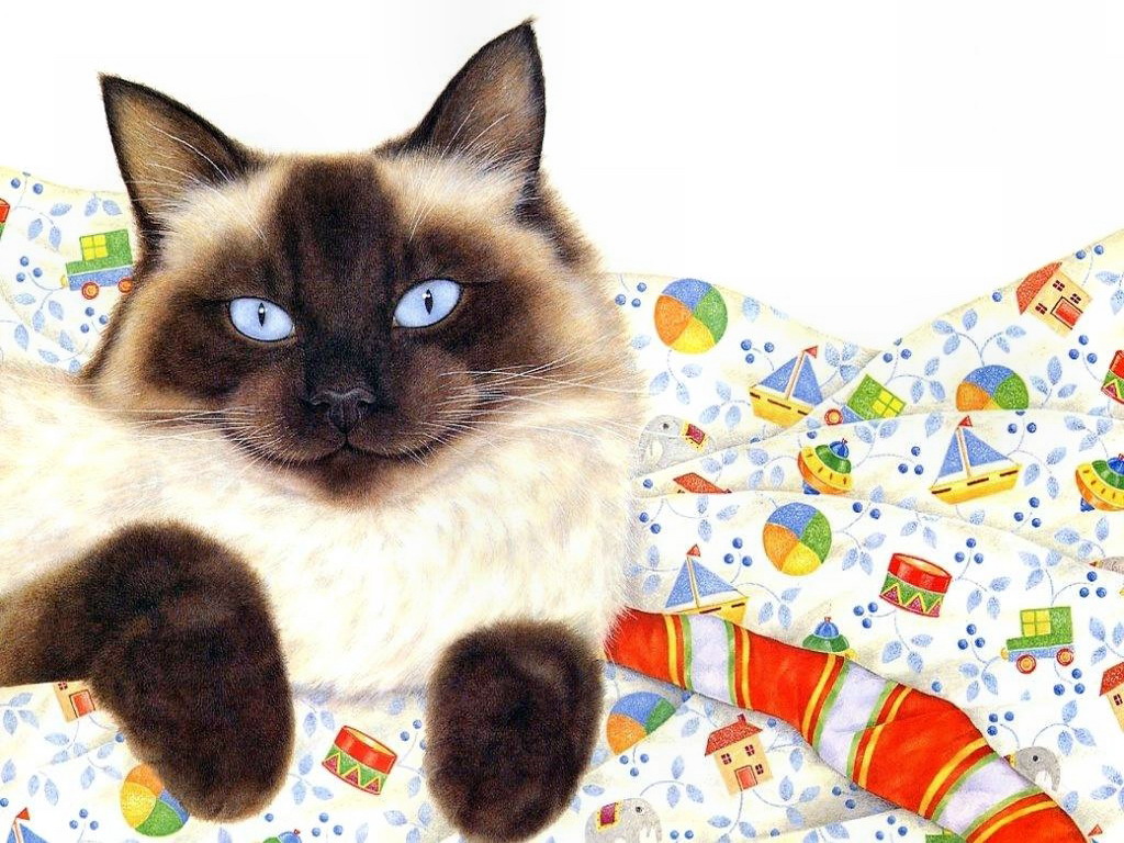 04-Anne-Mortimer-16