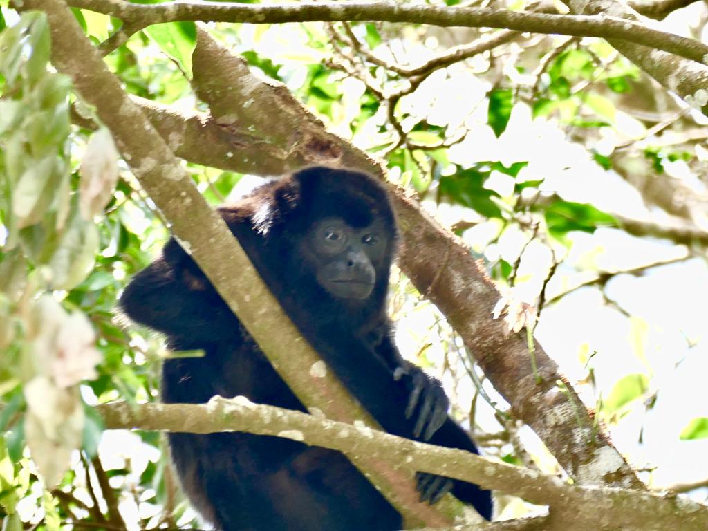 67487DBE-3866-498F-955D-62F149F5070C