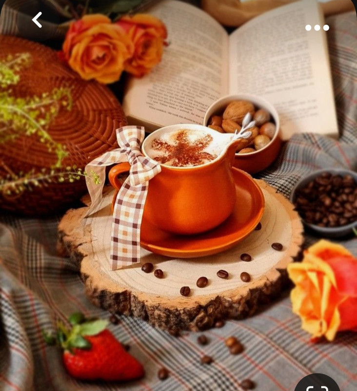 Screenshot_20231031_220211_Pinterest