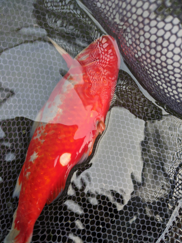 PXL_20201005_150446993