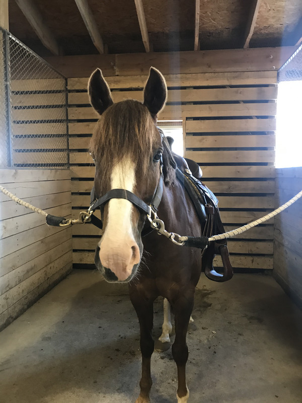 9793911C-962C-468F-8F3C-6B6C1F06161E