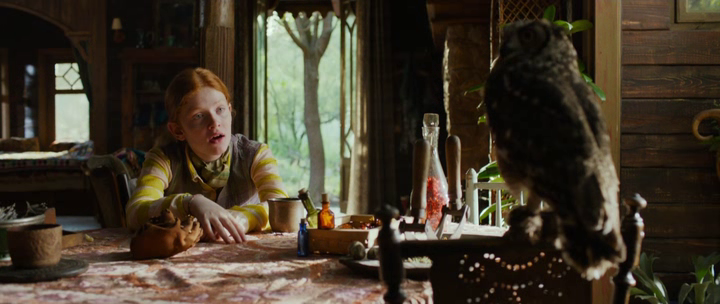 vlcsnap-2019-11-06-14h21m33s367