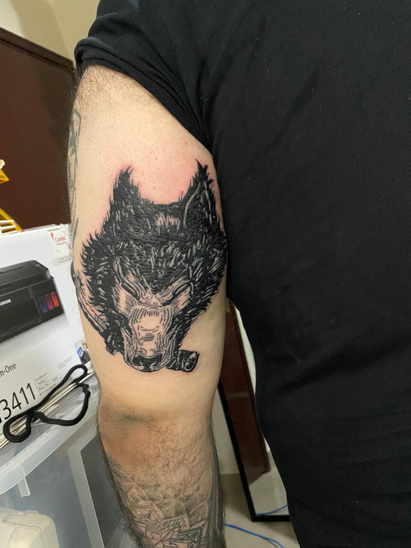 [Image: 68880566-8b55-4c96-be15-ecb639fb15d3.jpg]