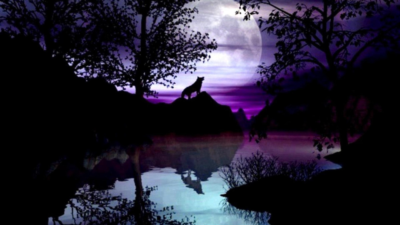 Wolf Moon Wallpapers Gallery 67 Plus PIC WPW5011369 — Postimages