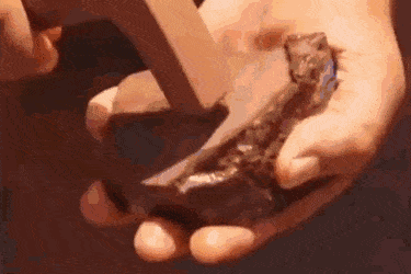 GIFs-3