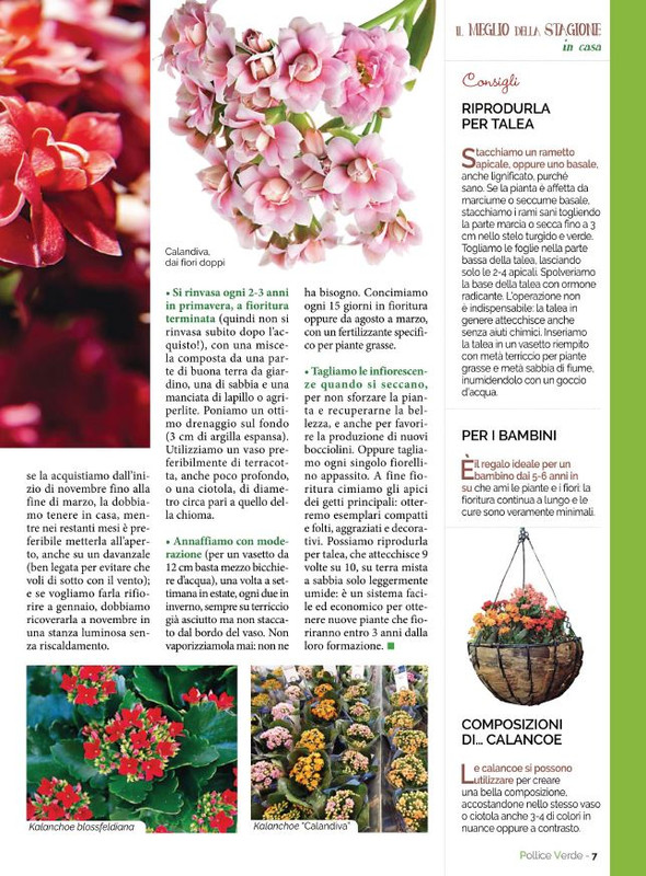 Pol Ver Gen-Feb 2022 (2)