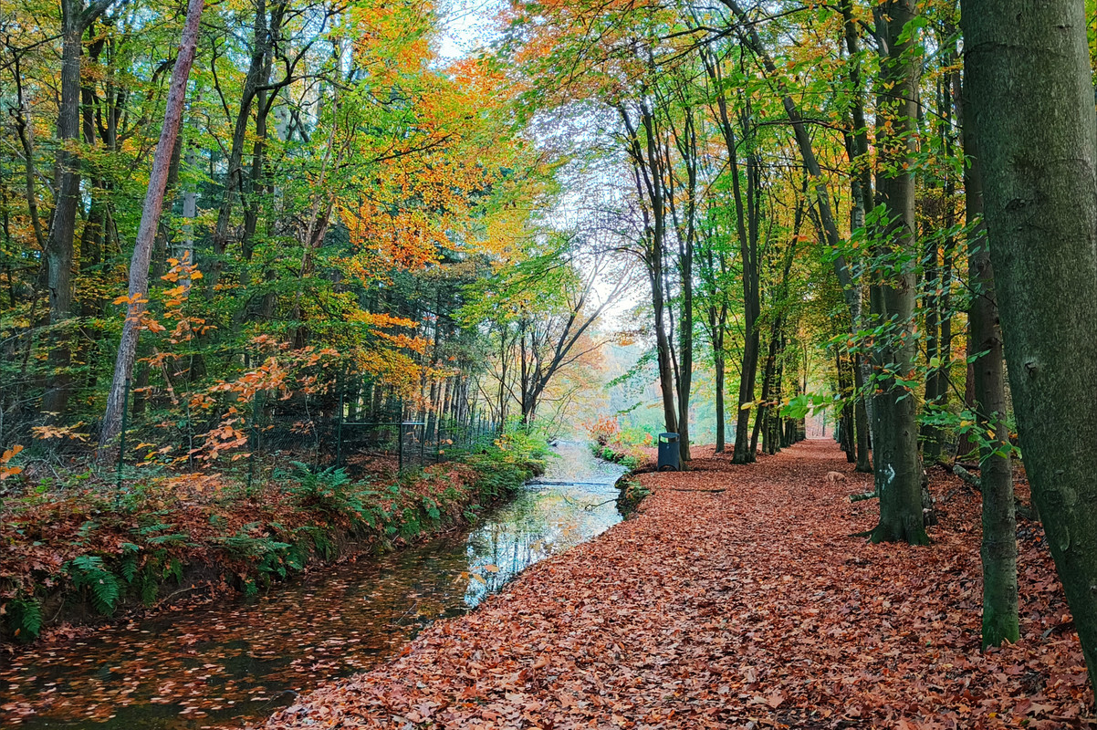 Lumii 20251106 082624802