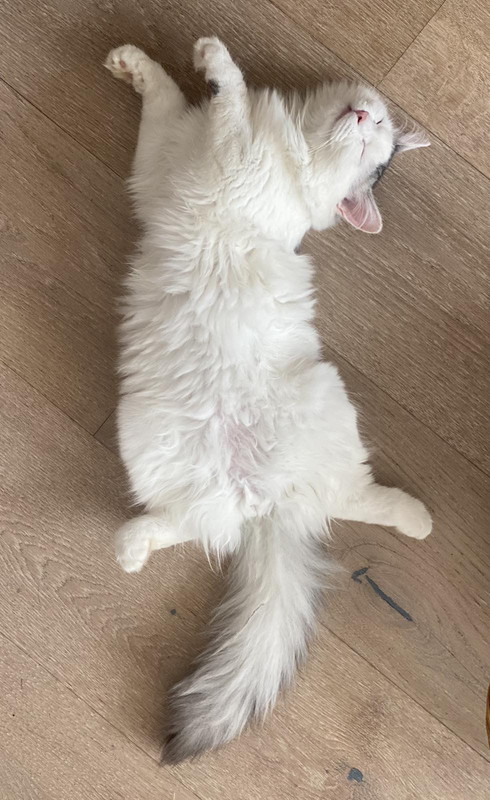 IMG-9df3e1b94568825300c794e87f99ab91-V