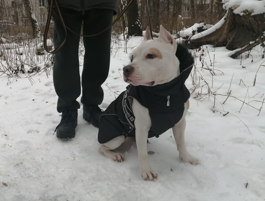 03047524-FEB5-4D36-B839-2D7BC980C9E7