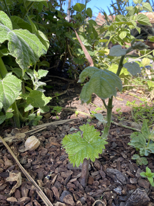 B03EFC08-6E26-43C1-B5F2-7C93DD2E6825