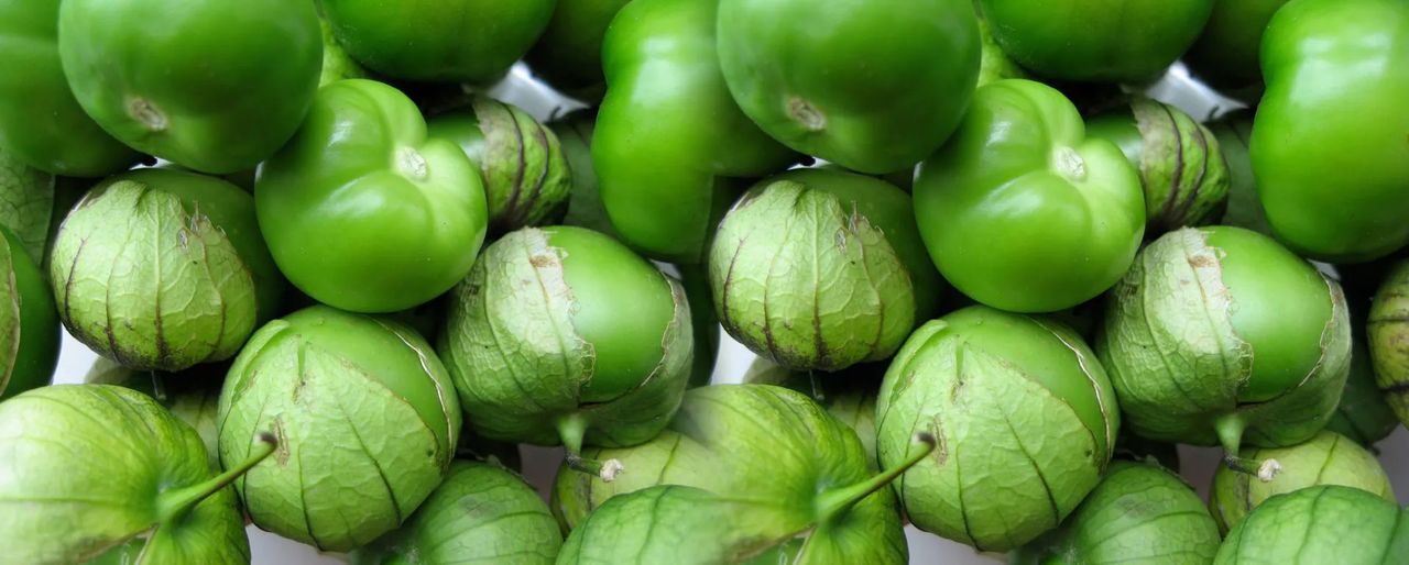 ¿Plagas en tu huerto? Acábalas con un insecticida de tomate 