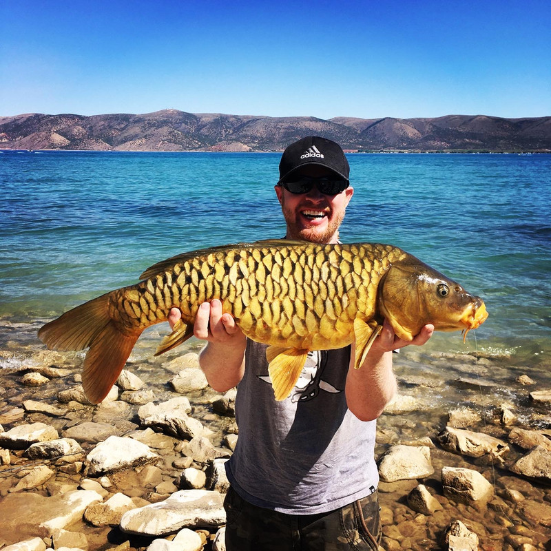 820FB5D3-AEE8-4BE5-9827-985606628D1C