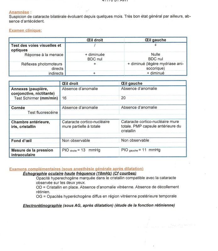 [Image: safran1.jpg]